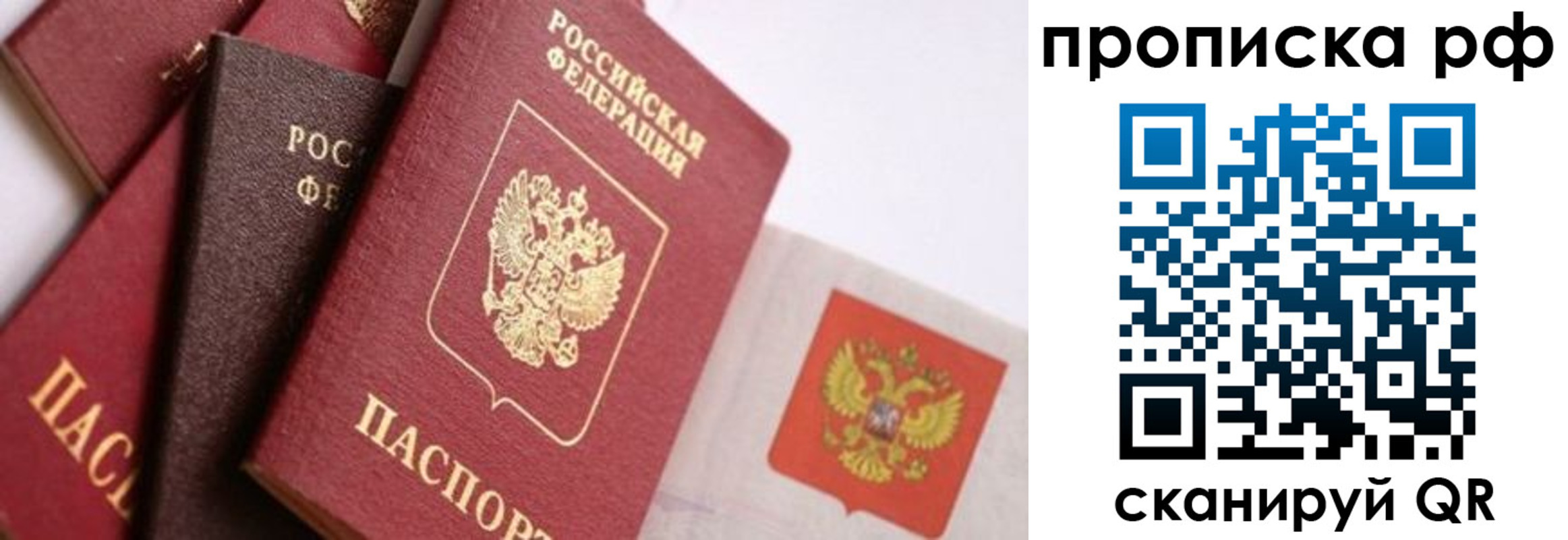 прописка ребенка в Ельне